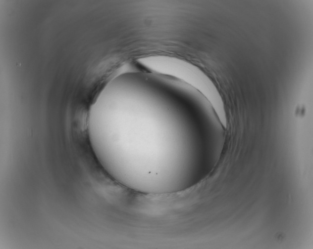 X0000092020041200709201600