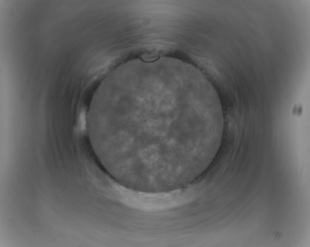 X0000092020042200709201600