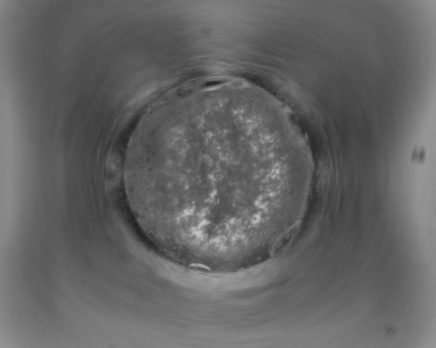 X0000092020043200709201600