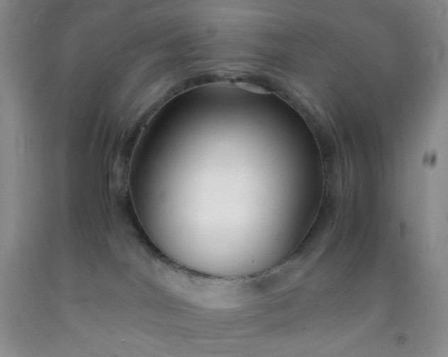 X0000092020044200709201600