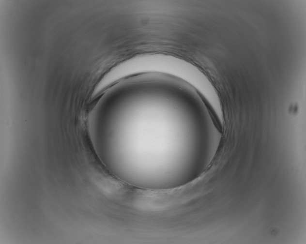 X0000092020045200709201600