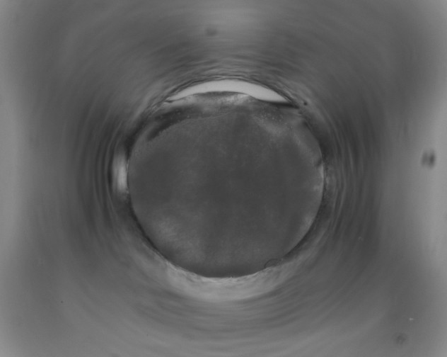 X0000092020046200709201600