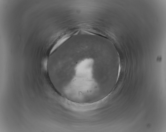 X0000092020047200709201600