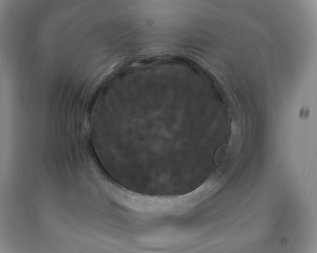 X0000092020048200709201600