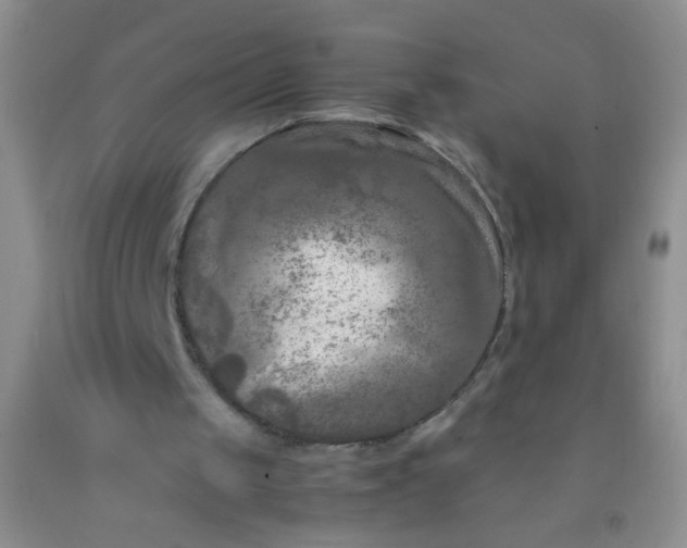 X0000092020049200709201600