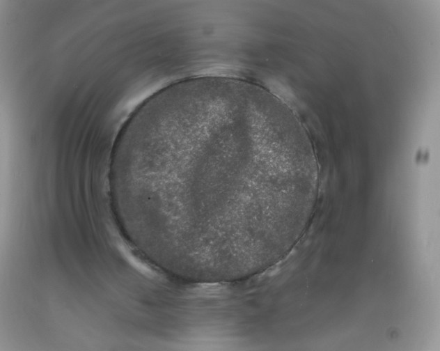 X0000092020050200709201600