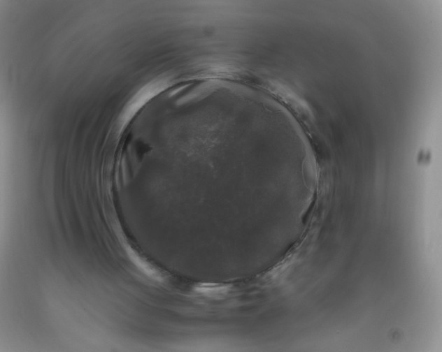 X0000092020051200709201600