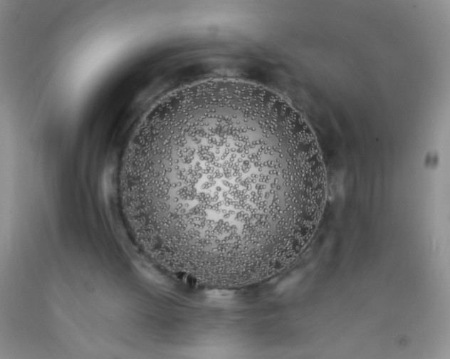 X0000092020052200709201600