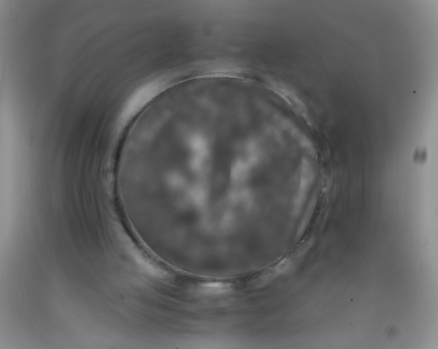 X0000092020053200709201600