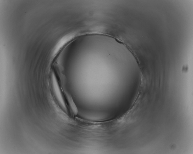 X0000092020054200709201600