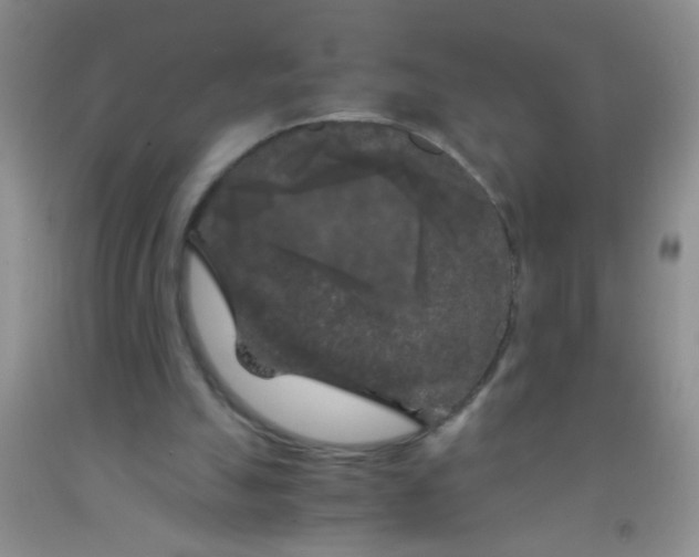 X0000092020055200709201600