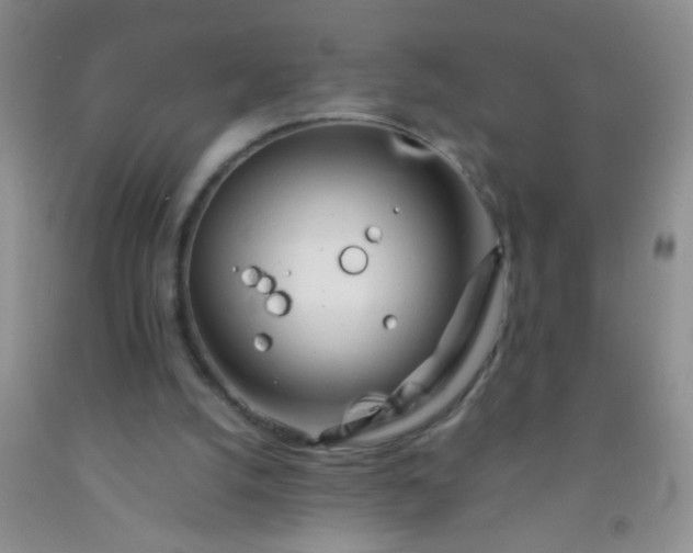 X0000092020056200709201600