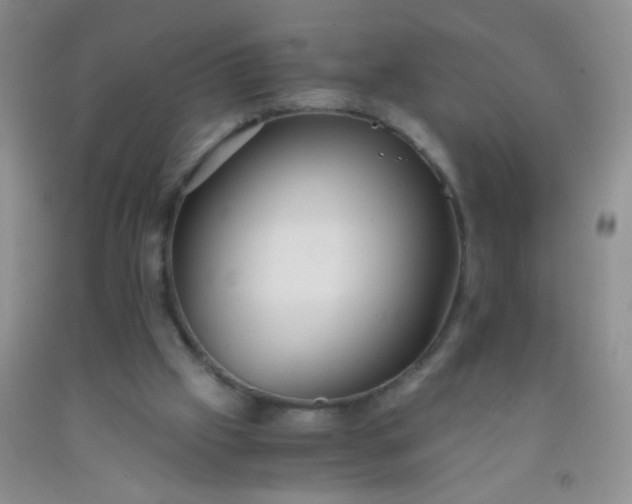 X0000092020057200709201600