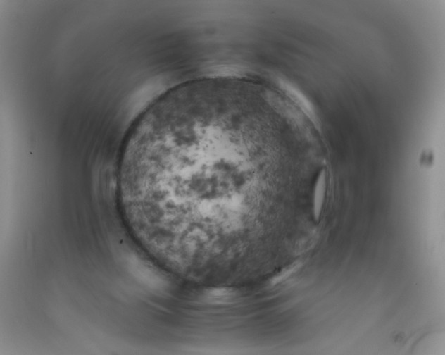 X0000092020059200709201600