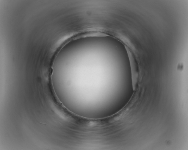 X0000092020060200709201600