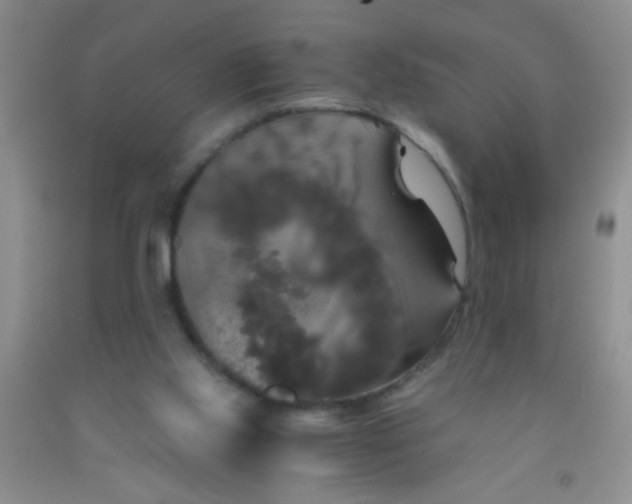 X0000092020061200709201600