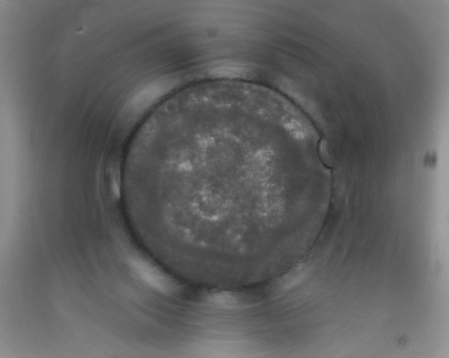 X0000092020062200709201600