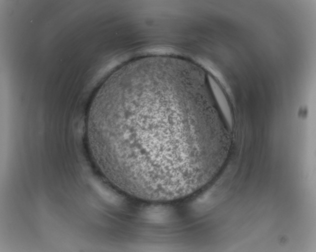 X0000092020063200709201600