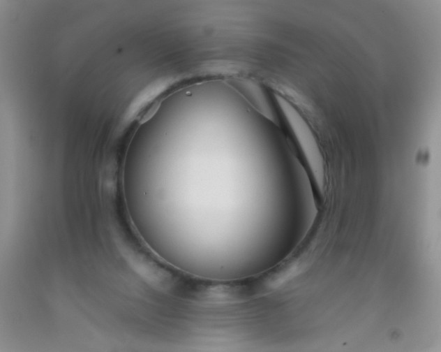 X0000092020064200709201600