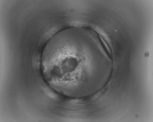 X0000092020065200709201600