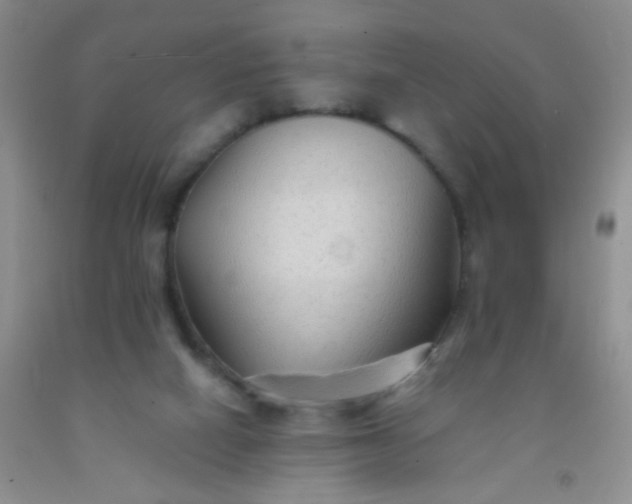 X0000092020066200709201600