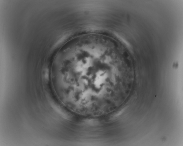 X0000092020067200709201600