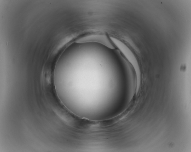 X0000092020068200709201600