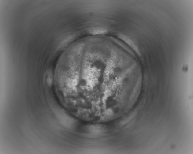 X0000092020069200709201600