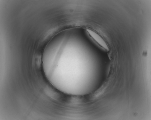 X0000092020070200709201600