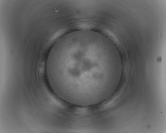 X0000092020071200709201600