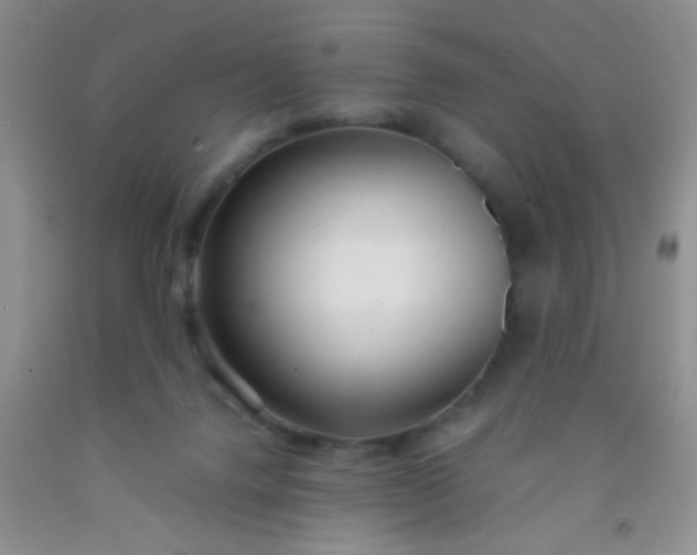 X0000092020072200709201600