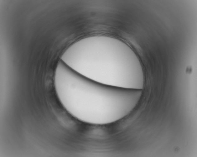 X0000092020073200709201600