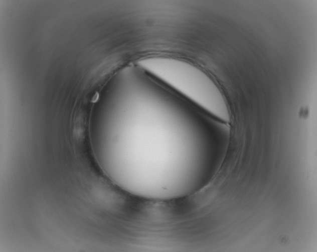 X0000092020074200709201600