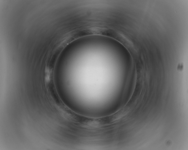 X0000092020075200709201600