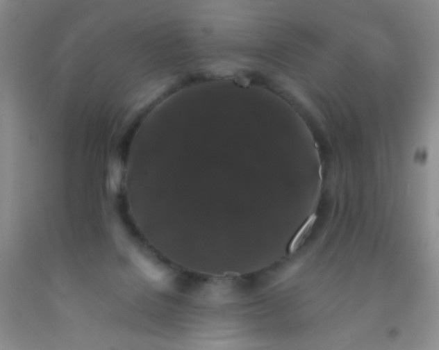 X0000092020076200709201600