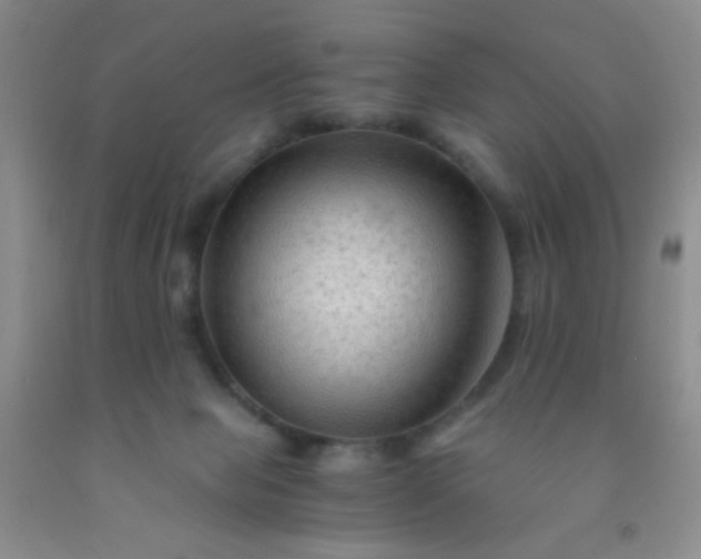 X0000092020077200709201600