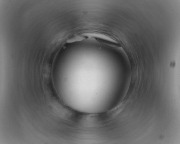 X0000092020078200709201600