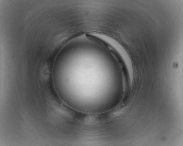 X0000092020080200709201600