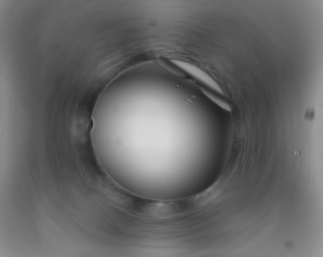 X0000092020082200709201600