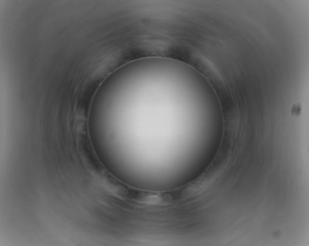 X0000092020083200709201600