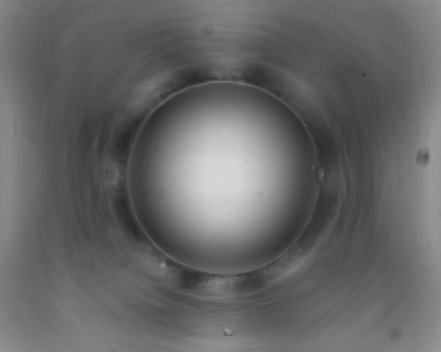 X0000092020084200709201600