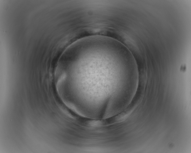 X0000092020085200709201600