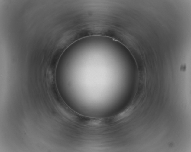 X0000092020086200709201600