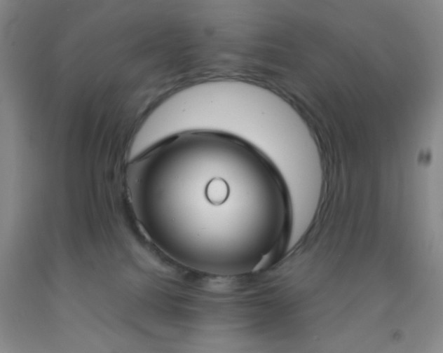 X0000092020088200709201600