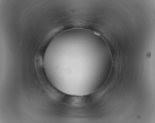 X0000092020089200709201600