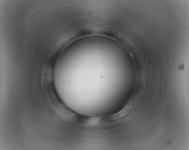 X0000092020090200709201600