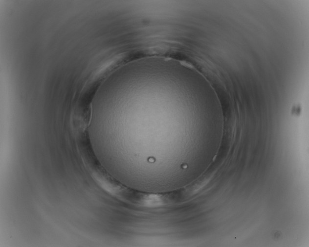 X0000092020091200709201600