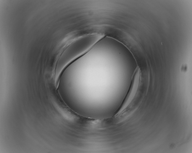 X0000092020092200709201600