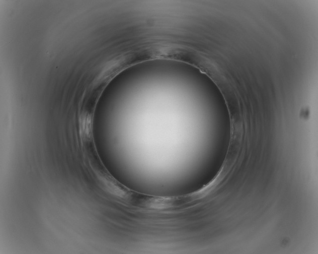 X0000092020094200709201600