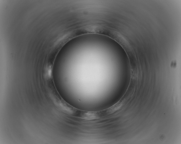 X0000092020095200709201600